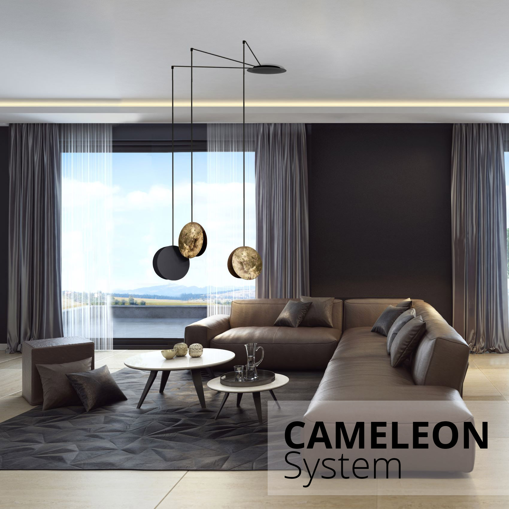 Cameleon System